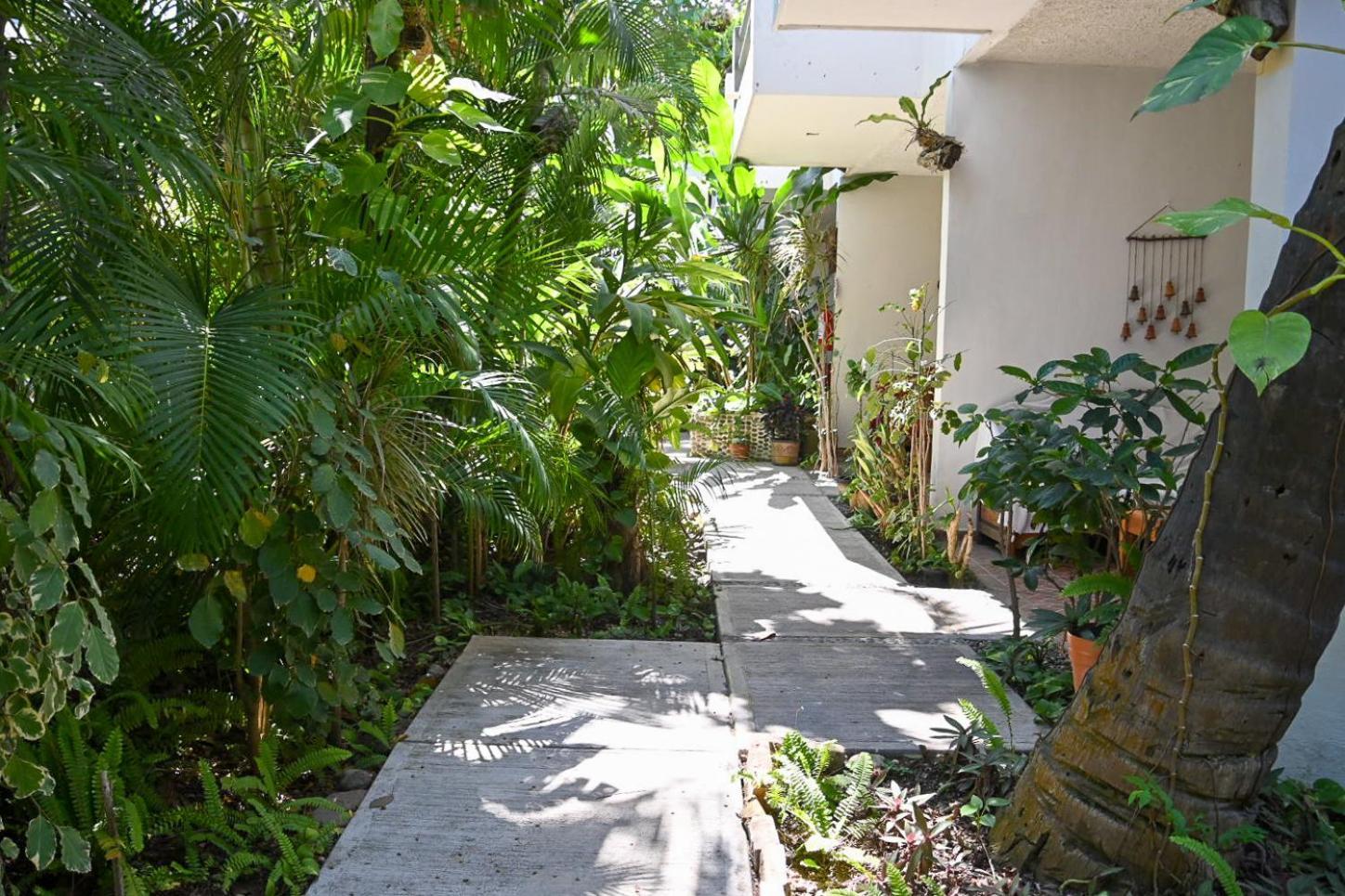 Bucerías Hotel Palmeras מראה חיצוני תמונה