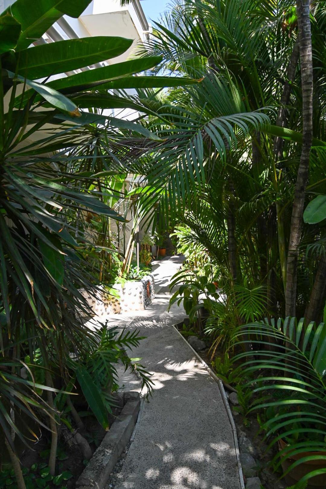 Bucerías Hotel Palmeras מראה חיצוני תמונה