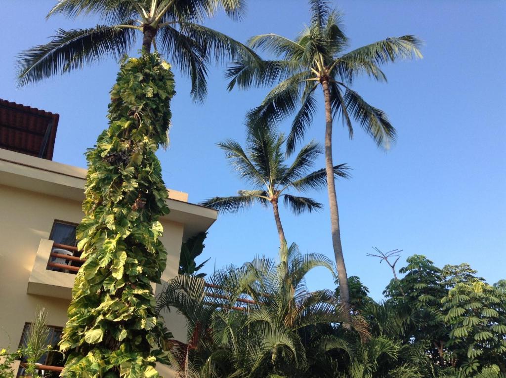 Bucerías Hotel Palmeras מראה חיצוני תמונה